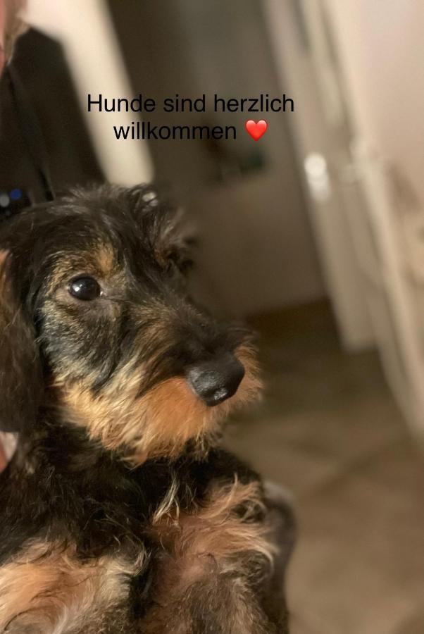Apartment Sonnenwohnung Am Strand Fuer 1-2 Personen